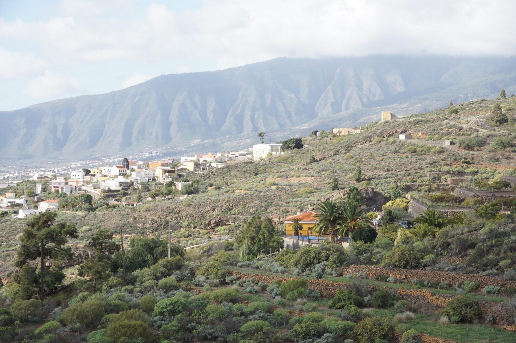 Casa Colores Tenerife Guesthouse Candelaria Exterior photo